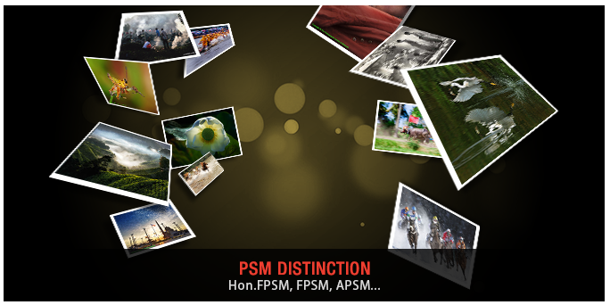 PSM member photo contest